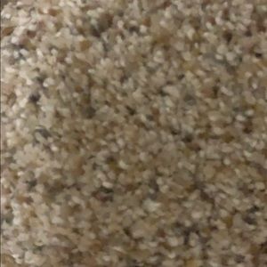 Meet your Posher, Carla